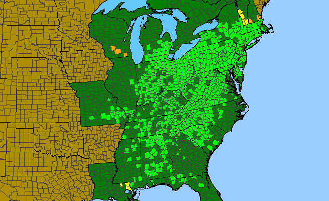The range of Collinsonia canadensis